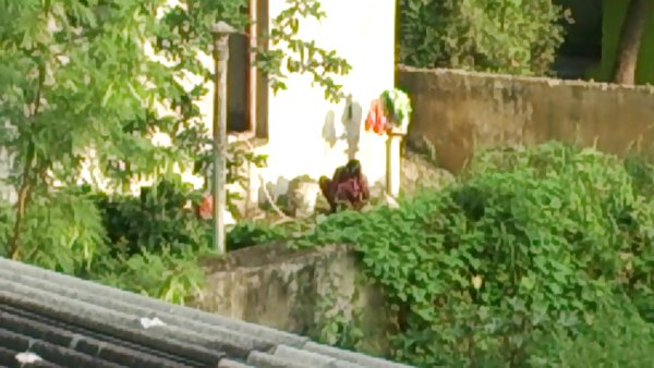 Elderly cow sits on the dick guy's ass